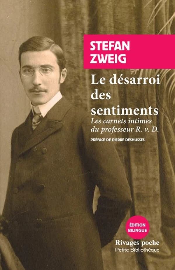 Le désarroi des sentiments : Les carnets intimes du professeur R. v. D.