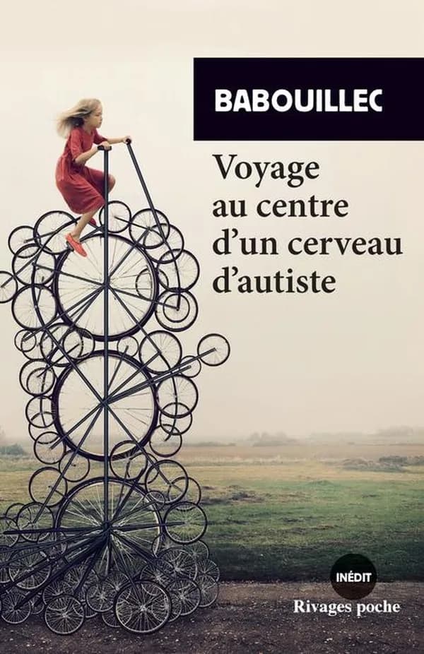 Voyage au centre d'un cerveau autiste
