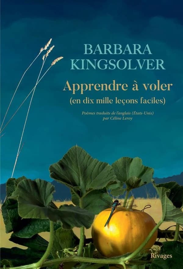 Apprendre à voler : en dix mille leçons faciles