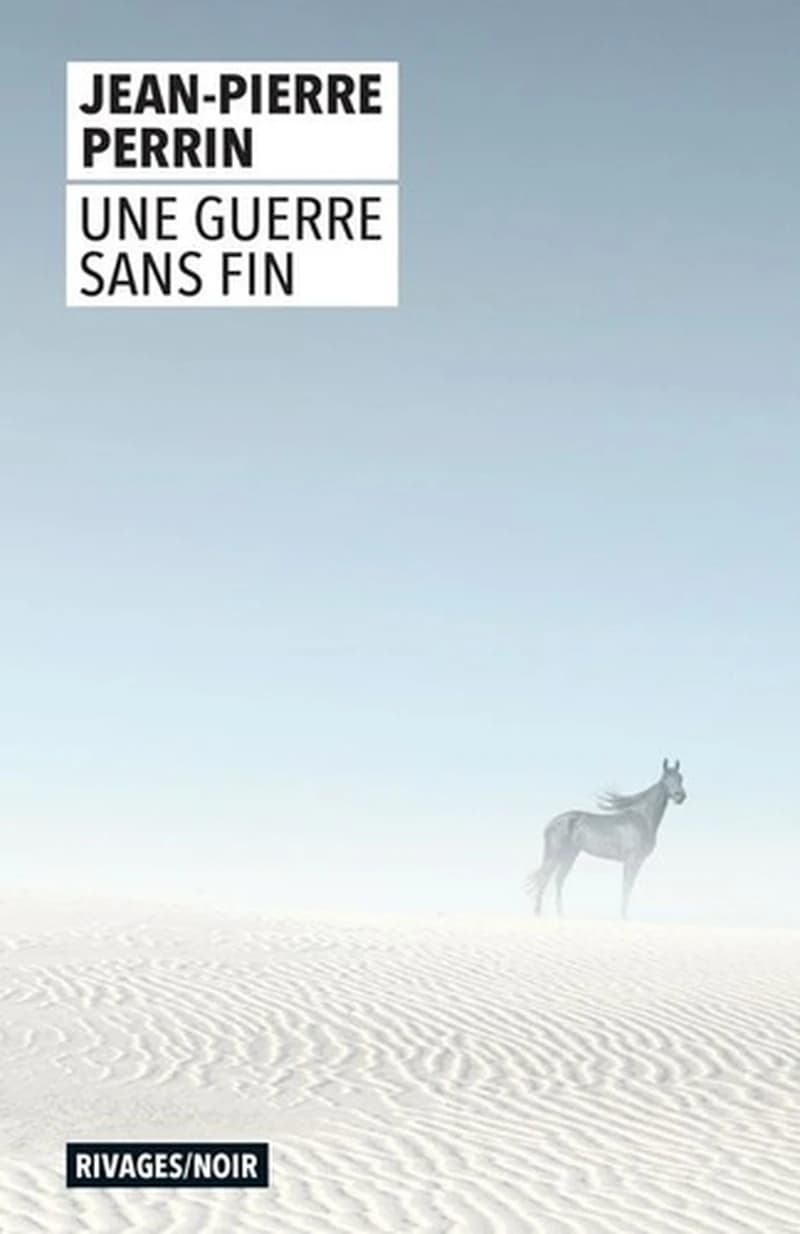 Une guerre sans fin (Nouvelle éd.)