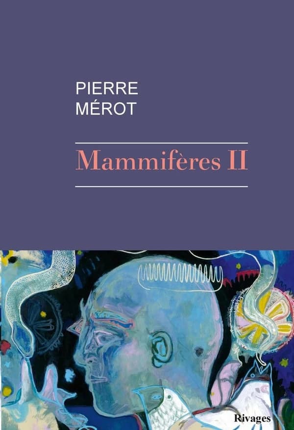 Mammifères. II