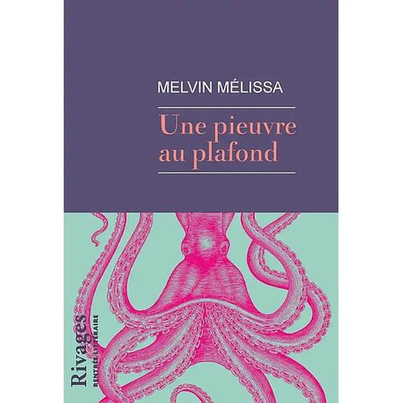 Une pieuvre au plafond