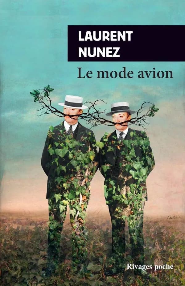 Le mode avion