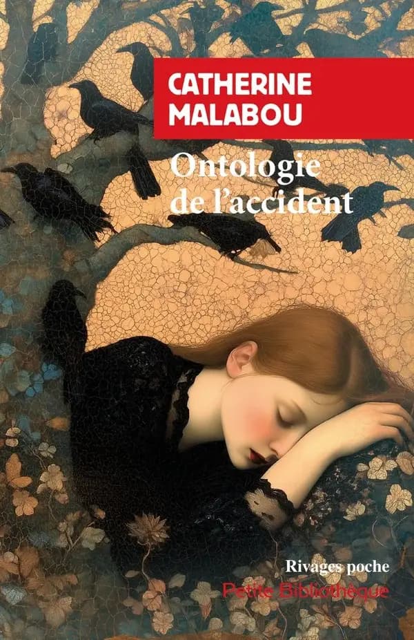 Ontologie de l'accident : essai sur la plasticité destructrice