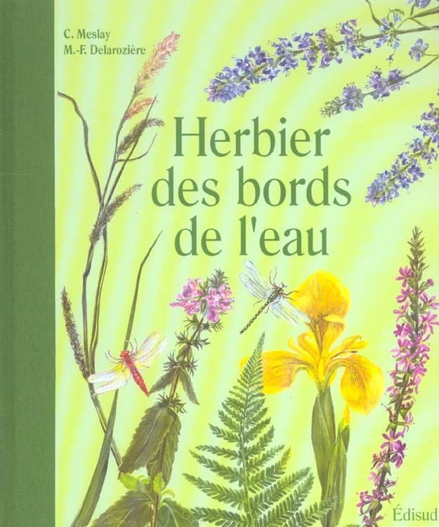 Herbier des bords de l'eau