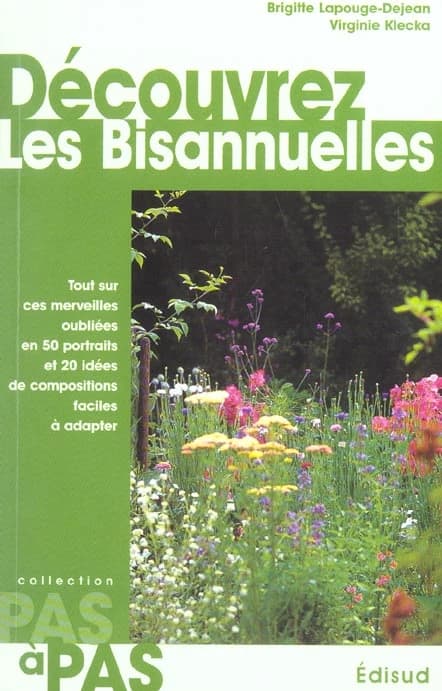 Découvrez les bisannuelles : tout sur ces merveilles oubliées en 50 portraits et 20 idées de compositions faciles à adapter