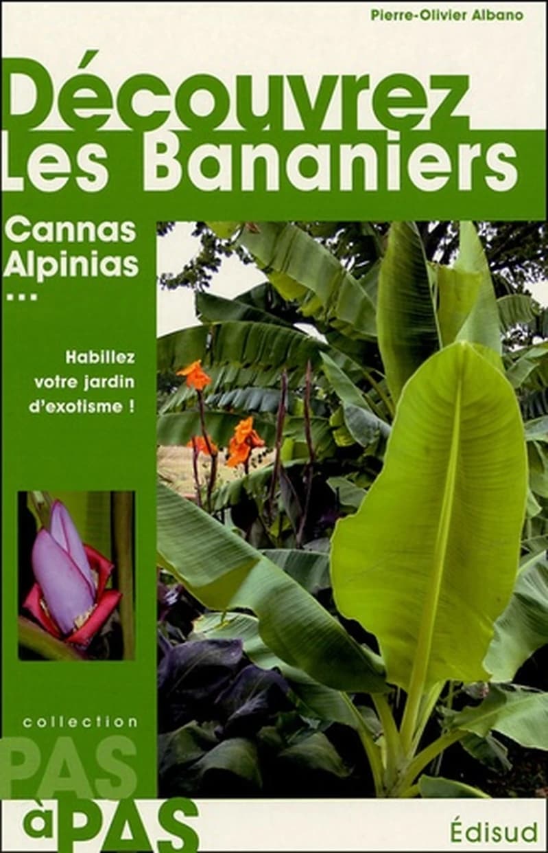 Découvrez les bananiers : et Alpinia, Canna, Curcuma, Etlingera, Hedychium, Heliconia, Ravenala, Strelitzia, Thalia, Zingiber
