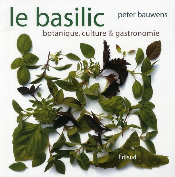 Le basilic : botanique, culture & gastronomie