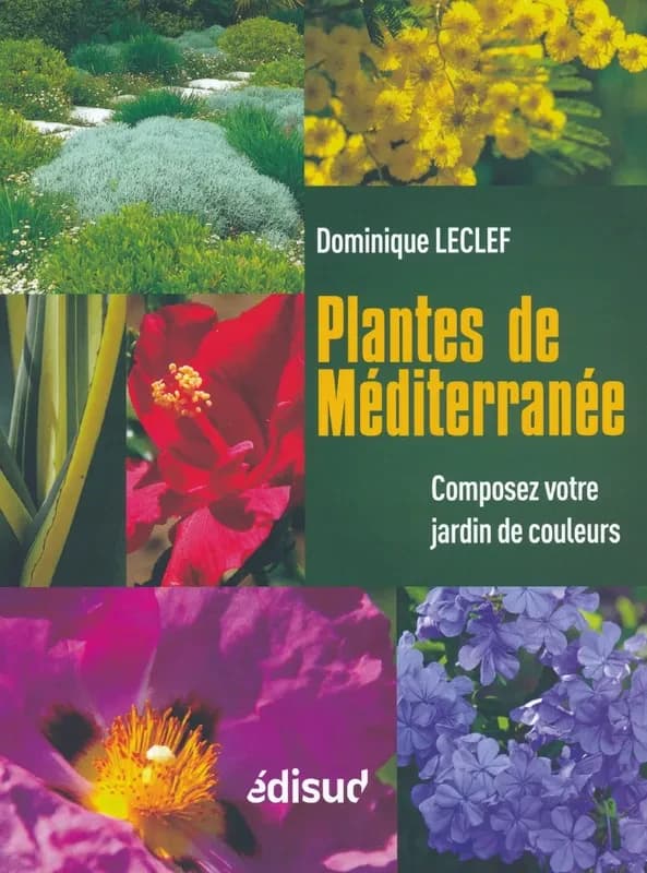 Plantes de Méditerranée : composez votre jardin de couleurs