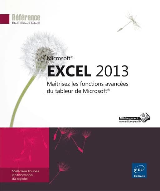 Excel 2013 : maîtrisez les fonctions avancées du tableur de Microsoft