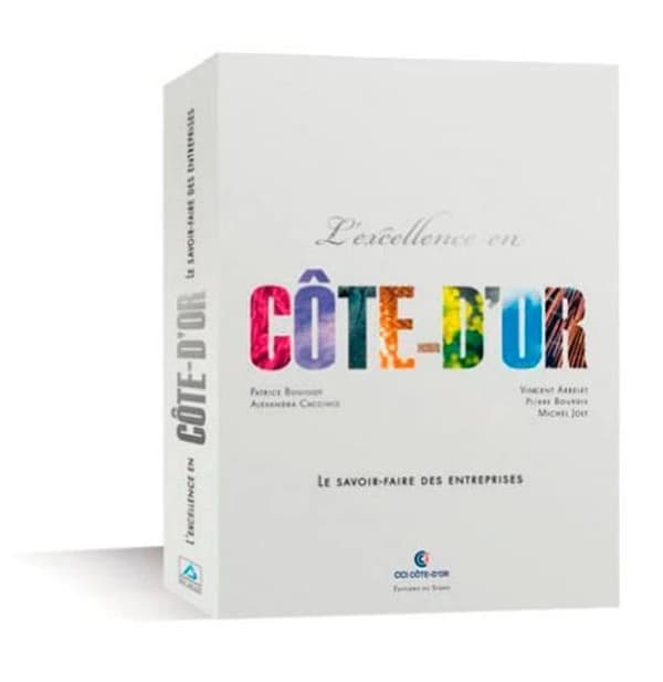 L'excellence en Côte-d'Or : le savoir-faire des entreprises