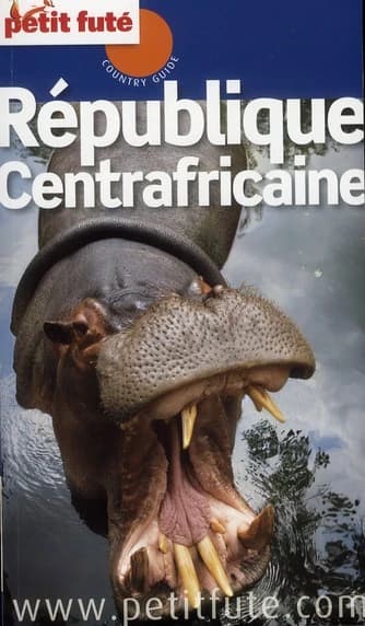 République centrafricaine (3e éd.) [Dominique Auzias et Jean-Paul Labourdette]