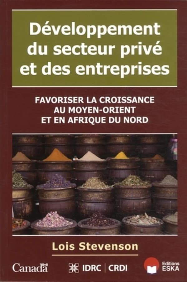 Développement du secteur privé et des entreprises : favoriser la croissance au Moyen-Orient et en Afrique du Nord