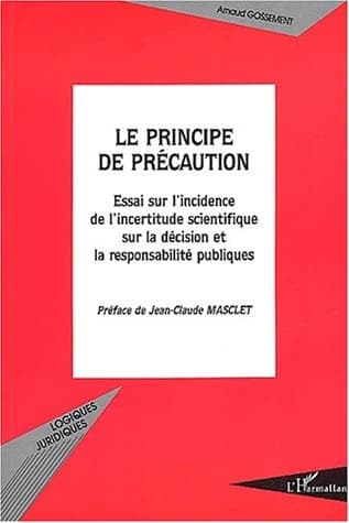 Le principe de précaution : essai sur l'incidence de l'incertitude scientifique sur la décision et la responsabilité publiques