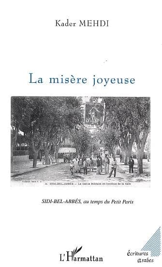 La misère joyeuse : roman