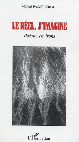 Le réel, j'imagine : poésie, environs