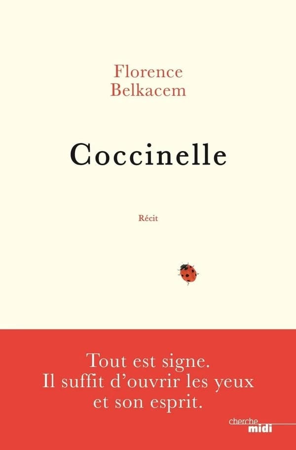 Coccinelle : récit