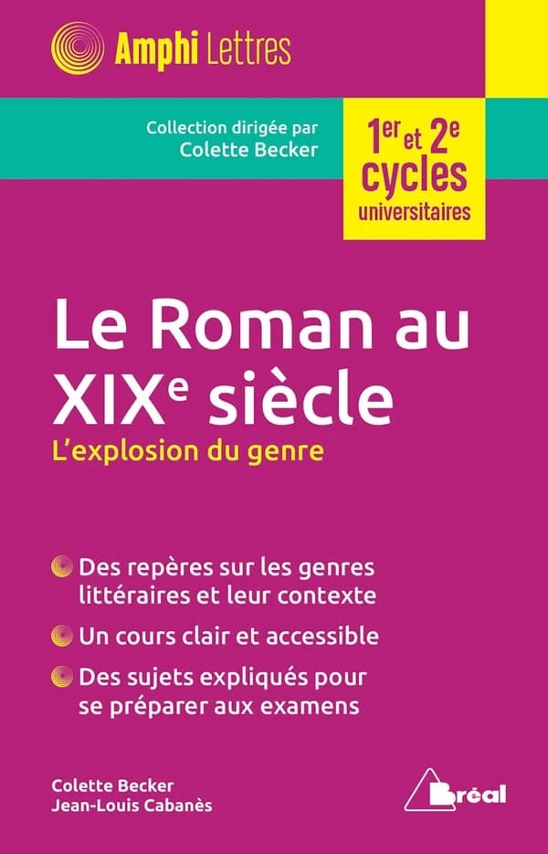 Le roman au XIXe siècle : l'explosion du genre