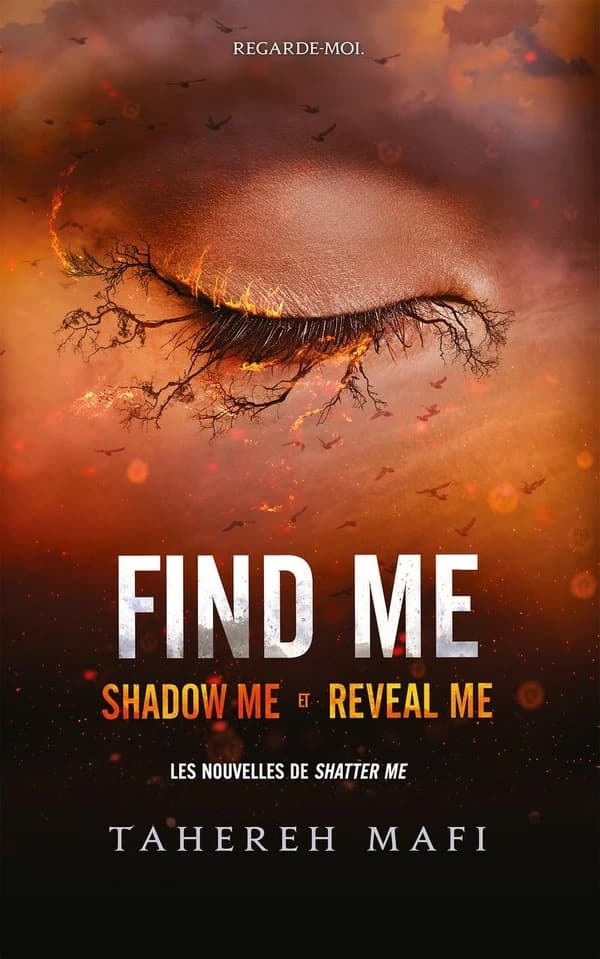 Insaisissable (Shatter me)