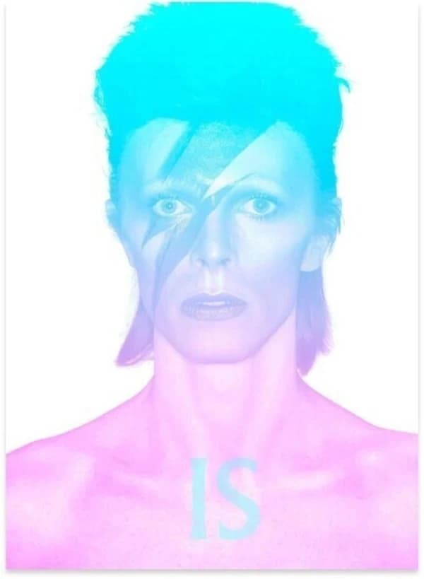 David Bowie est le sujet : [exposition, Londres, Victoria and Albert museum, 23 mars-11 août 2013] (Nouvelle éd. augmentée) édité par Victoria Broackes et Geoffrey Marsh