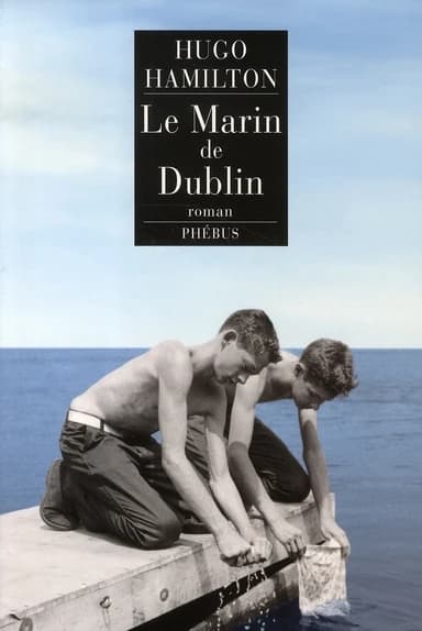 Le marin de Dublin : roman