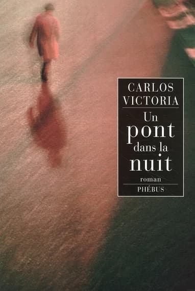 Un pont dans la nuit : roman