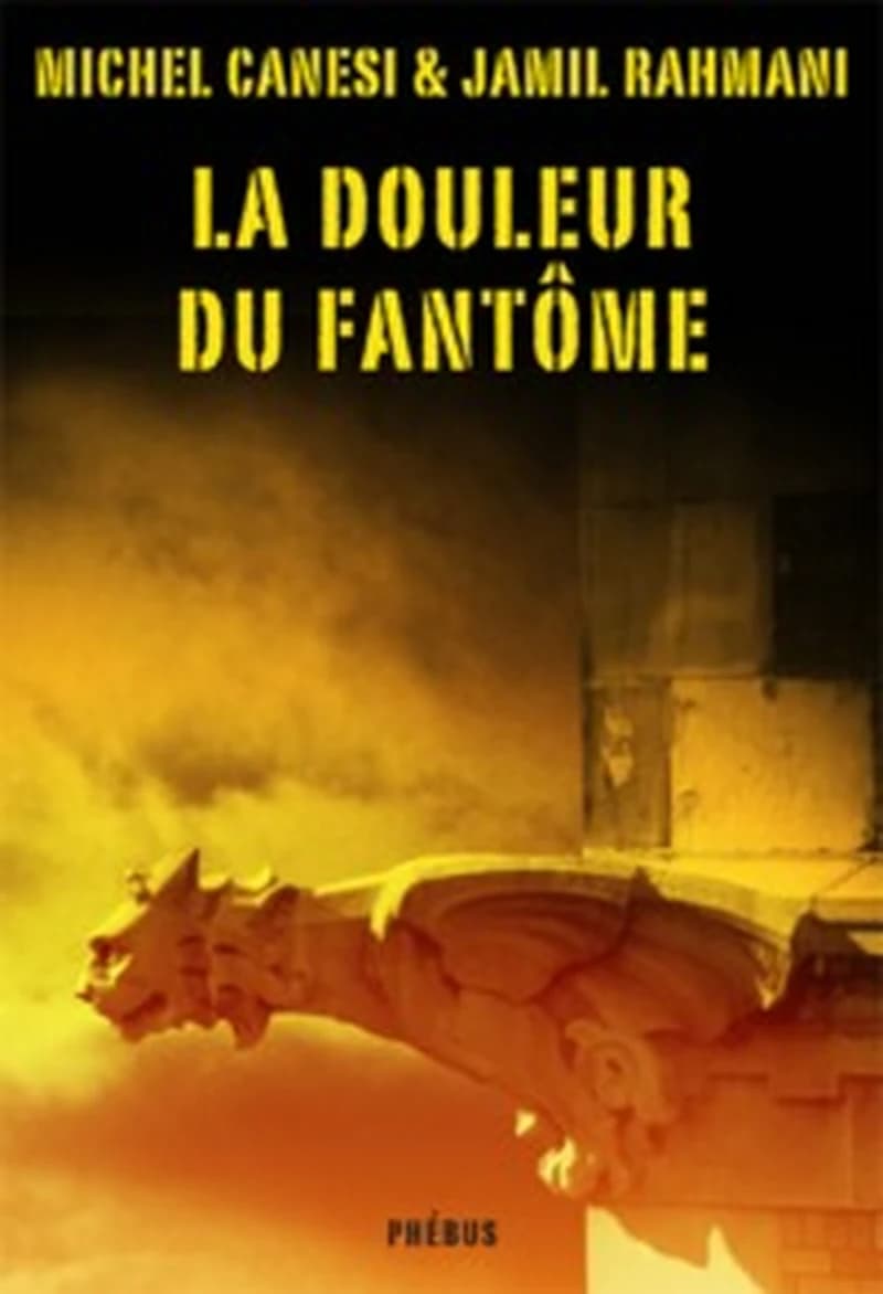 La douleur du fantôme : roman