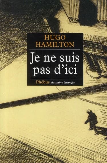 Je ne suis pas d'ici : roman