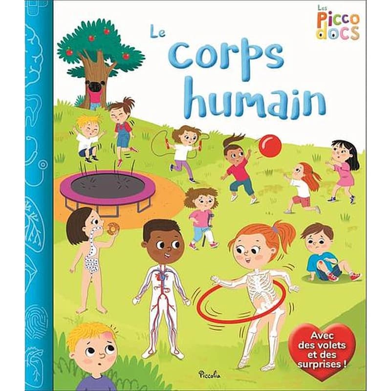 Le corps humain