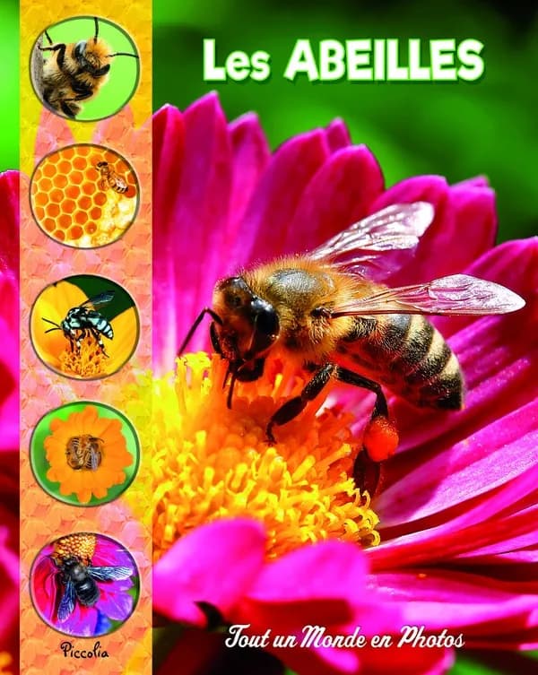 Tout un monde en photos : les abeilles