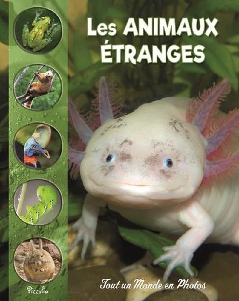 Tout un monde en photos : les animaux étranges et méconnus