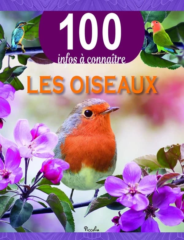 100 infos à connaître : les oiseaux