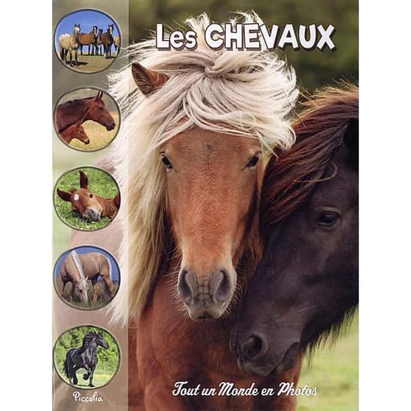 Tout un monde en photos : les chevaux
