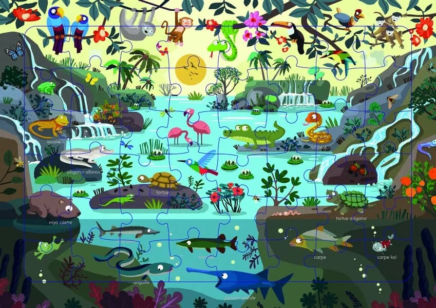 La mangrove