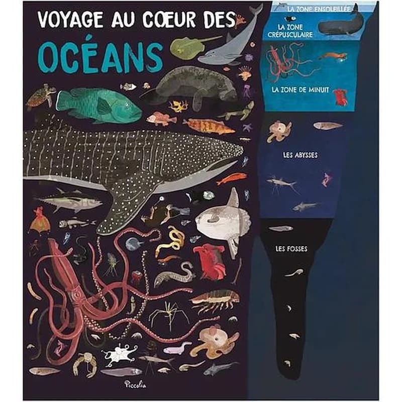 Des océans