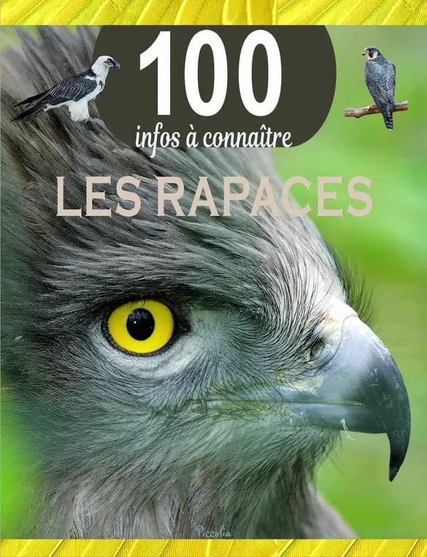 100 infos à connaître : Les rapaces