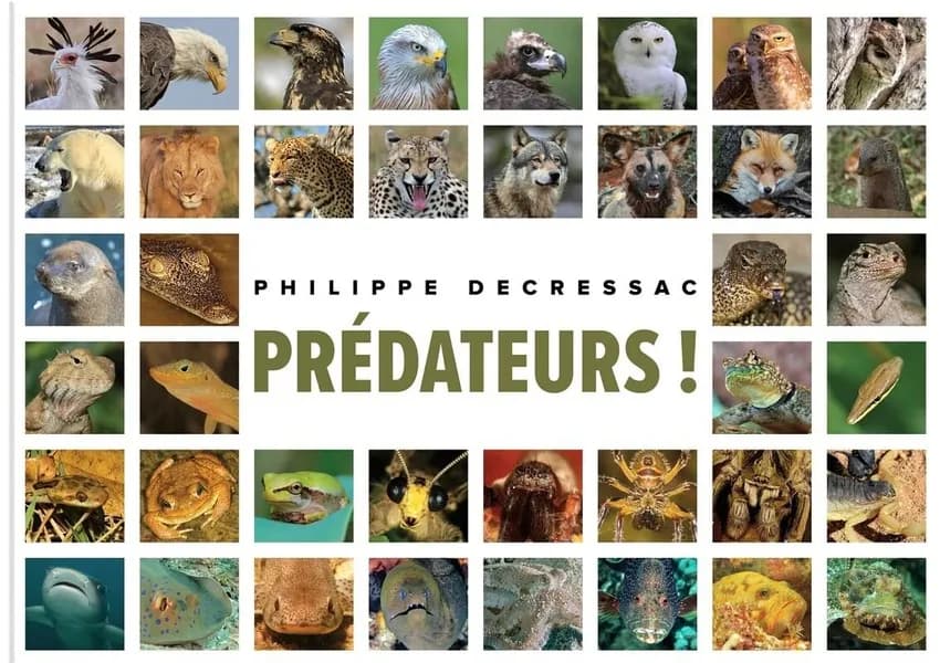 Prédateurs!