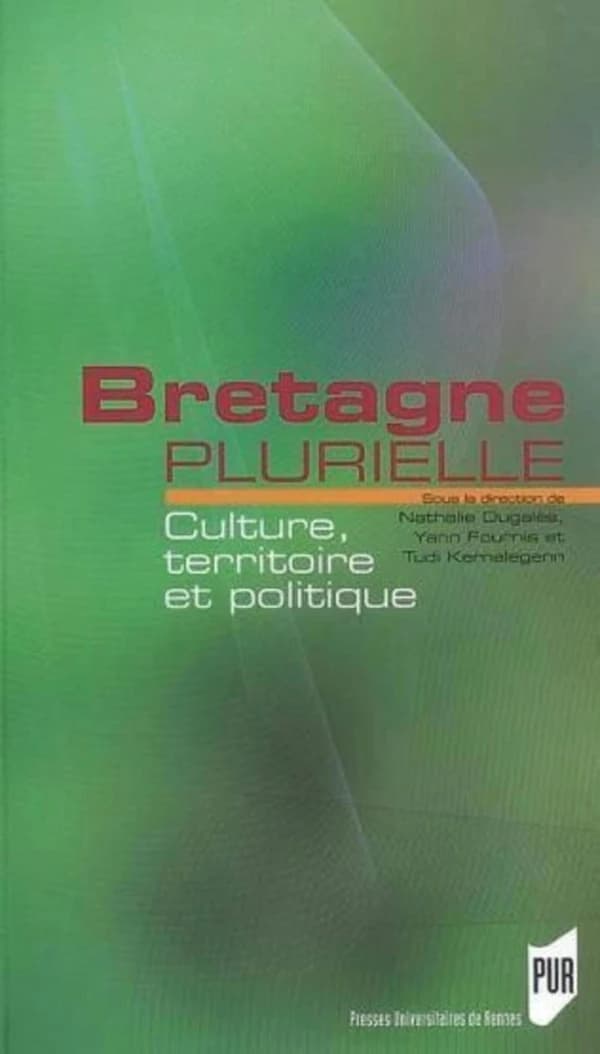 Bretagne plurielle : culture, territoire et politique