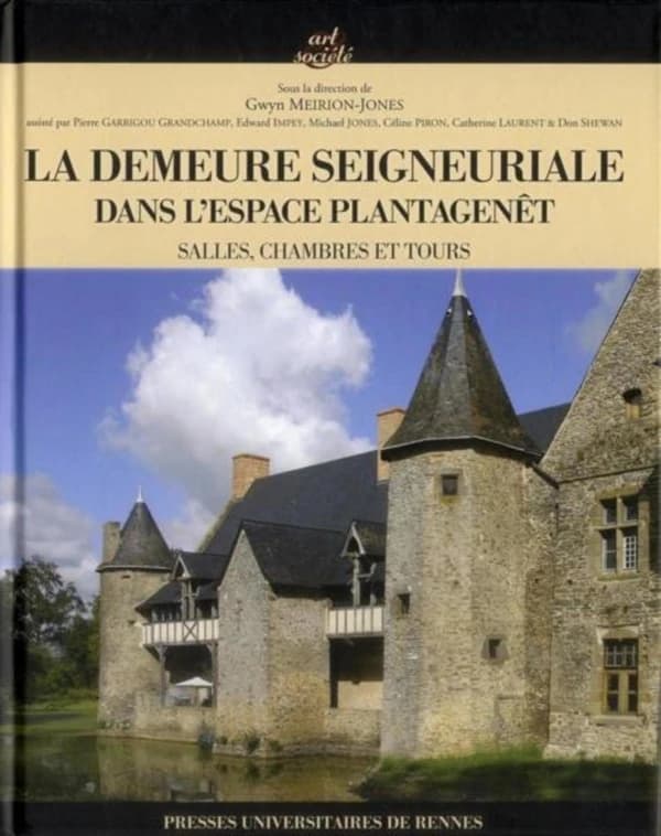 La demeure seigneuriale dans l'espace Plantagenêt : salles, chambres et tours