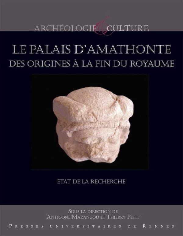 Le palais d'Amathonte : des origines à la fin de l'Antiquité : état de la recherche