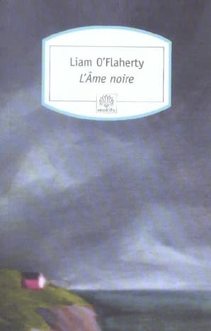L'âme noire : roman