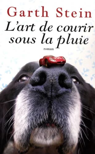 L'art de courir sous la pluie