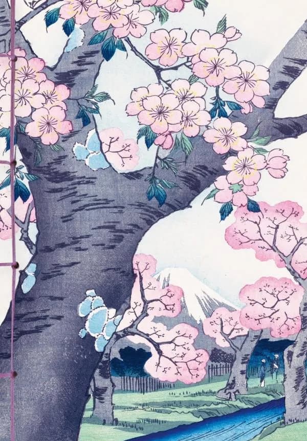 Les cerisiers en fleur dans l'estampe japonaise