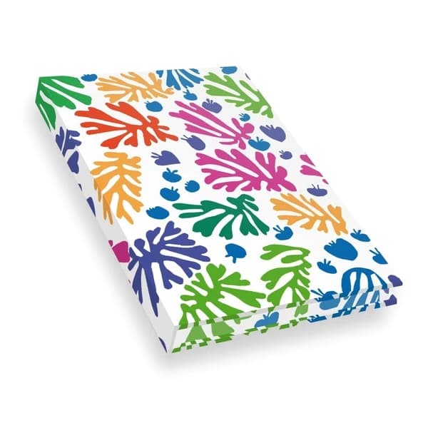 Carnet Matisse : La perruche et la sirène