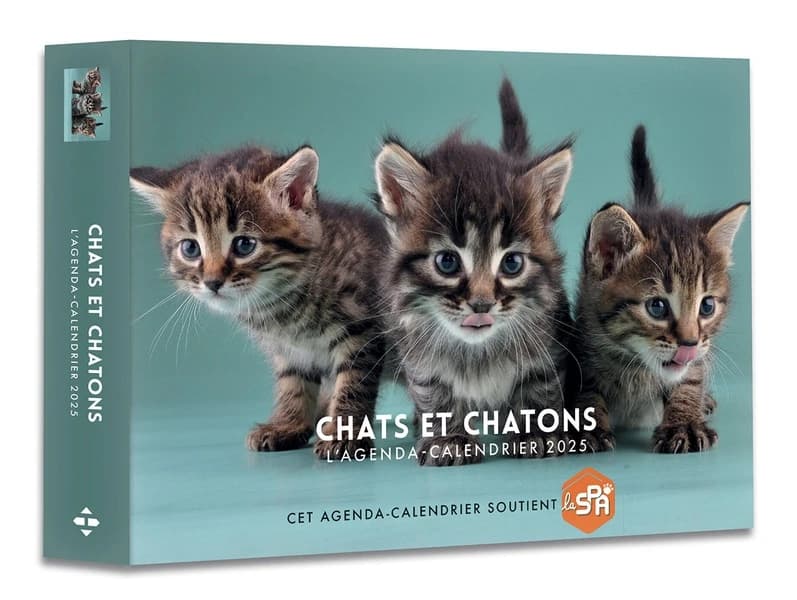 Agenda-calendrier : Chats et chatons (édition 2025)