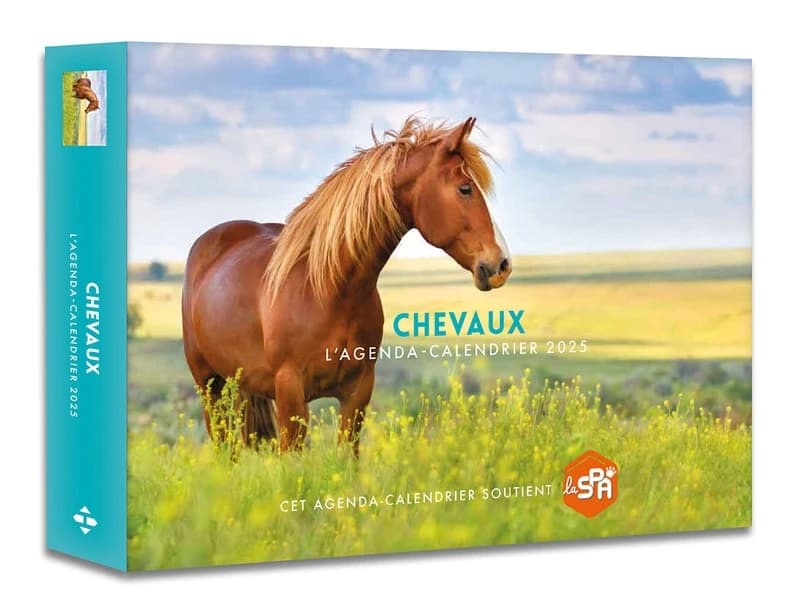 Agenda-calendrier : Chevaux (édition 2025)