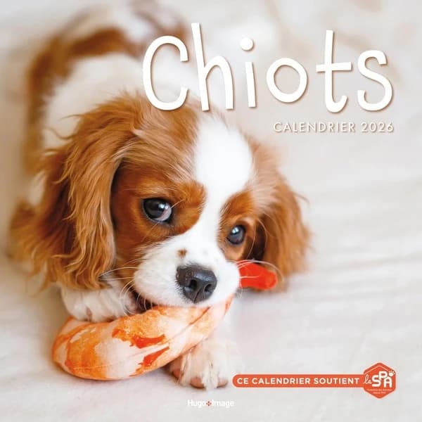 Calendrier mural : Chiots (édition 2026)