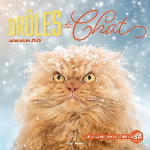 Calendrier mural : Drôles de chats (édition 2026)