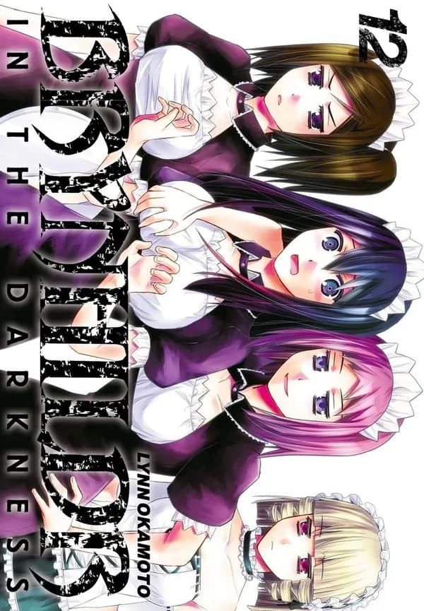 Brynhildr in the darkness. 12