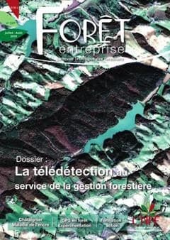 Forêt entreprise n. 247 ; la télédétection au service de la gestion forestière